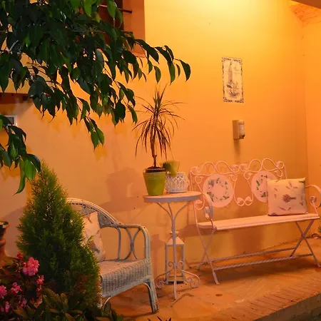 Tenuta Santa Chiara * Palaia